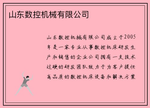 山东数控机械有限公司